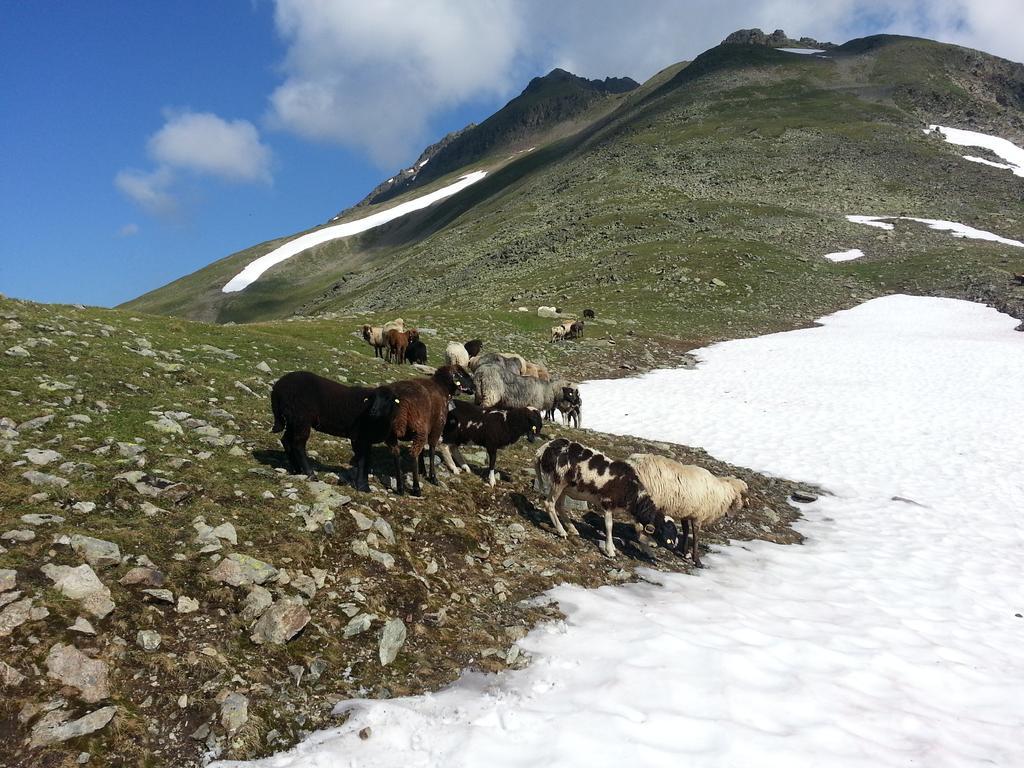 Ferienhaus Eiter Sankt Leonhard im Pitztal Luaran gambar