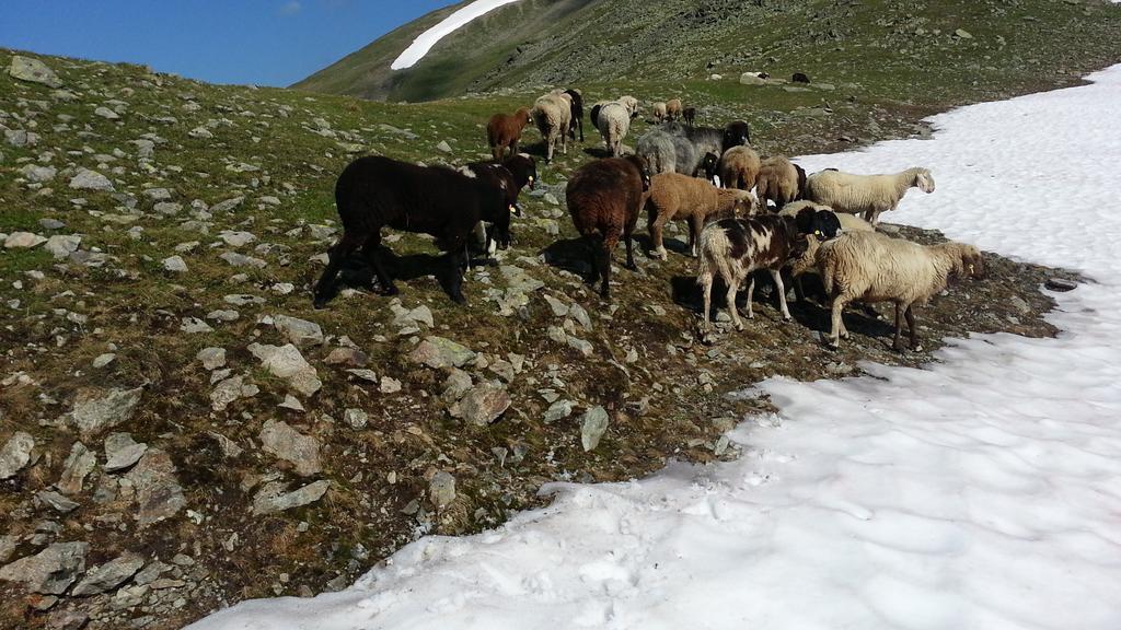 Ferienhaus Eiter Sankt Leonhard im Pitztal Luaran gambar